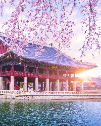 South Korea eSIM Simcard